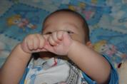 DSC_0600_Gre_ndern.jpg