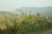 DSC_0091_Gre_ndern.JPG