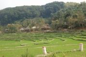 DSC_0694_Gre_ndern.JPG
